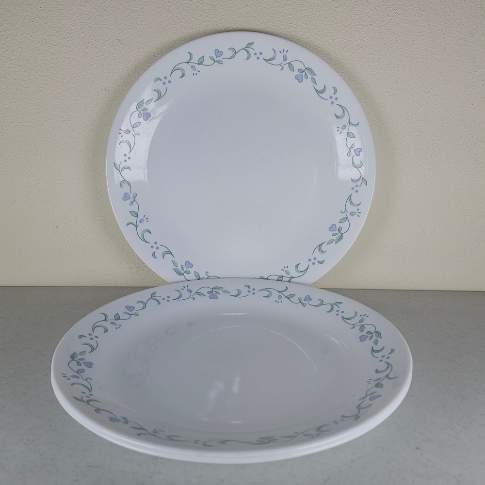 Set of 3 Corelle Country Cottage 10.25 Dinner Plates